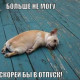 Фото пользователя ТопХотелс