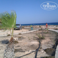 Adams Beach 5* - Фото отеля