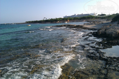Adams Beach 5* - Фото отеля