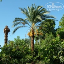 Zahabia Hotel & Beach Resort 4* - Фото отеля