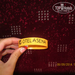 Логотип отеля Asena
