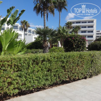 Adams Beach 5* Территория отеля - Фото отеля