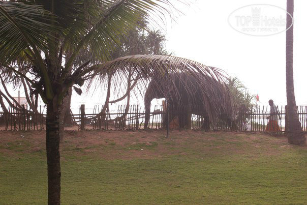 Cinnamon Bentota Beach 4* - Фото отеля