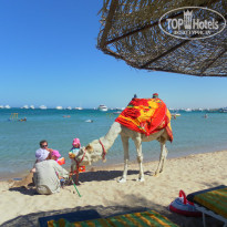 Giftun Azur Resort 3* - Фото отеля