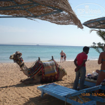 Zahabia Hotel & Beach Resort 4* - Фото отеля
