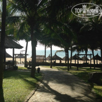 Ocean Star Resort 4* - Фото отеля