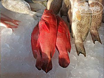 Nejoum Al Emarat 3* рыбный рынок - Фото отеля