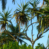 Cinnamon Bentota Beach 4* - Фото отеля