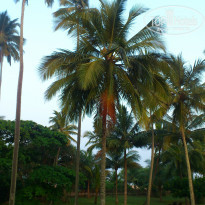 Cinnamon Bentota Beach 4* - Фото отеля