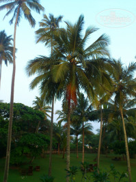 Cinnamon Bentota Beach 4* - Фото отеля