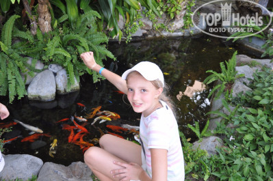 Sailing Bay Beach Resort 4* VINPEARL - Фото отеля