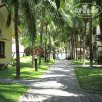 Ocean Star Resort 4* - Фото отеля