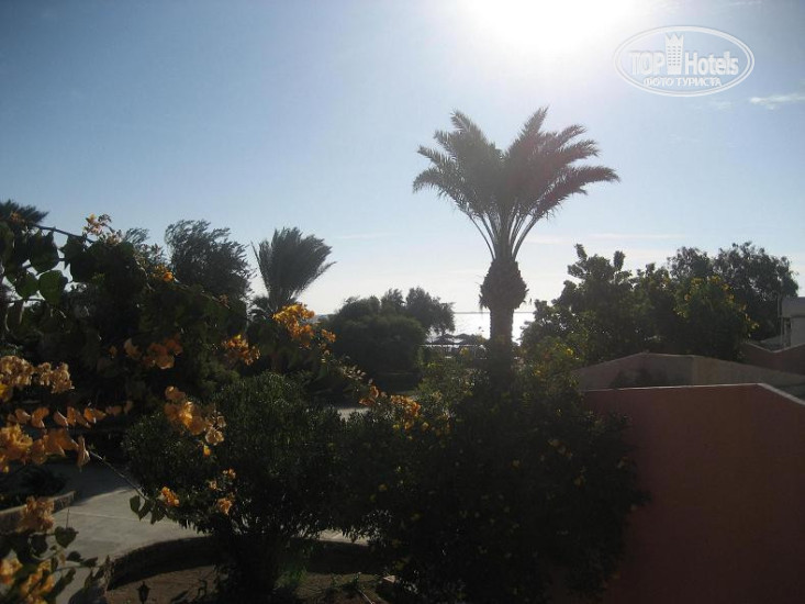 Paradise Abu Soma 4* - Фото отеля