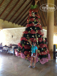 Punta Cana Princess All Suite Resort & Spa 5* - Фото отеля