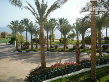 Dessole Royal Rojana Resort 5* Вид с балкона - Фото отеля