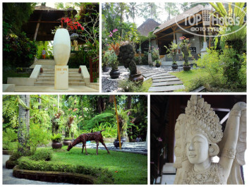Kupu-Kupu Barong Villas 5* - Фото отеля