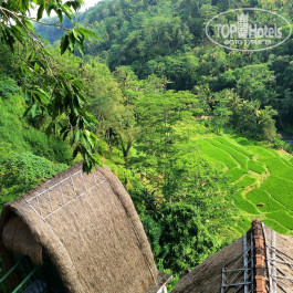 Kupu-Kupu Barong Villas 5* - Фото отеля