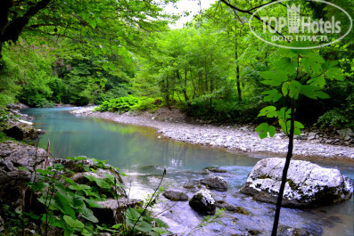 Sigma Sirius 3* Тисо-Самшитовая Роща - Фото отеля