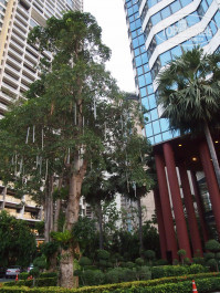 Pullman Pattaya Hotel G 5* - Фото отеля