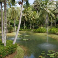 Kata Thani Phuket Beach Resort 5* территория отеля - Фото отеля