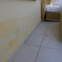 Green Paradise Beach Hotel 4* Эту неприятность не могу не выложить, плесень была похожа на белый мохнаты снежок - Фото отеля