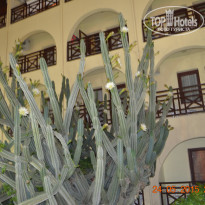 Green Paradise Beach Hotel 4* - Фото отеля