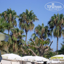 Green Paradise Beach Hotel 4* - Фото отеля
