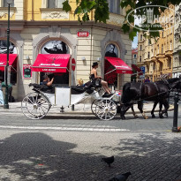 A&O Prague Rhea 3* - Фото отеля