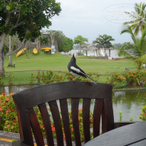 Cinnamon Bentota Beach 4* - Фото отеля