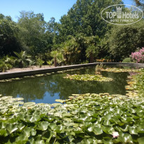Бристоль 3* Никитский ботанический сад - Фото отеля