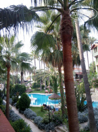 Green Paradise Beach Hotel 4* - Фото отеля