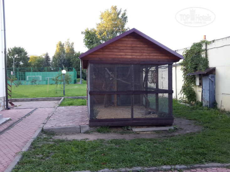 Чайка 3* Клетка с белками - Фото отеля