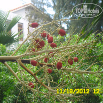 Long Thuan Resort 3* - Фото отеля