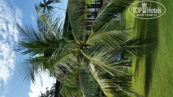 Cinnamon Bentota Beach 4* - Фото отеля