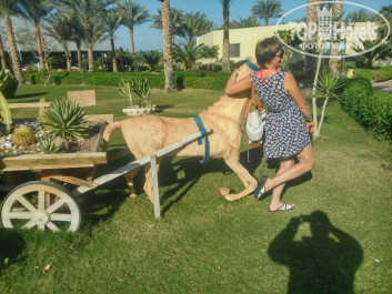 Dessole Royal Rojana Resort 5* - Фото отеля