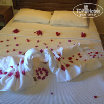 Green Paradise Beach Hotel 4* - Фото отеля