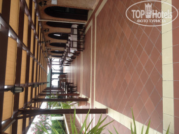 Green Paradise Beach Hotel 4* - Фото отеля