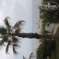 Green Paradise Beach Hotel 4* - Фото отеля