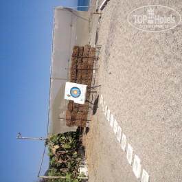 Green Paradise Beach Hotel 4* - Фото отеля