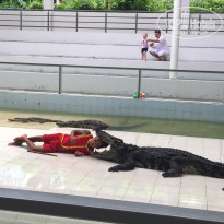 Centara Karon Resort Phuket 4* Шоу с крокодилами - Фото отеля