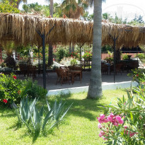 Green Paradise Beach Hotel 4* - Фото отеля