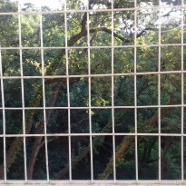 Санаторий Кирова На балконе на окнах решетки - Фото отеля