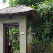 Kupu-Kupu Barong Villas 5* - Фото отеля