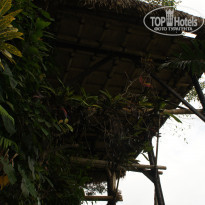 Kupu-Kupu Barong Villas 5* - Фото отеля