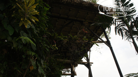 Kupu-Kupu Barong Villas 5* - Фото отеля
