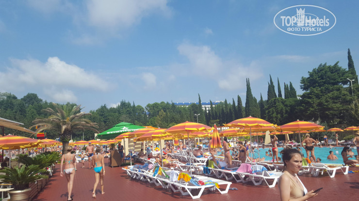 Bridge Resort (Бридж Резорт) 4* Амфибиус - Фото отеля