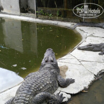 Baan Karon Buri Resort 3* зоопарк - Фото отеля