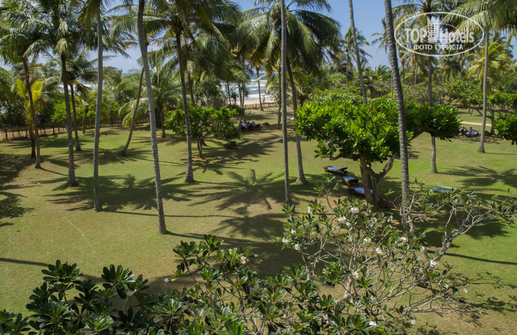 Cinnamon Bentota Beach 4* - Фото отеля