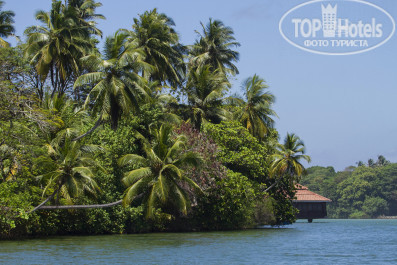 Cinnamon Bentota Beach 4* На реке Бентота. - Фото отеля