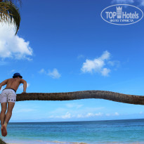 Riu Naiboa 4* изогнутая пальма - Фото отеля